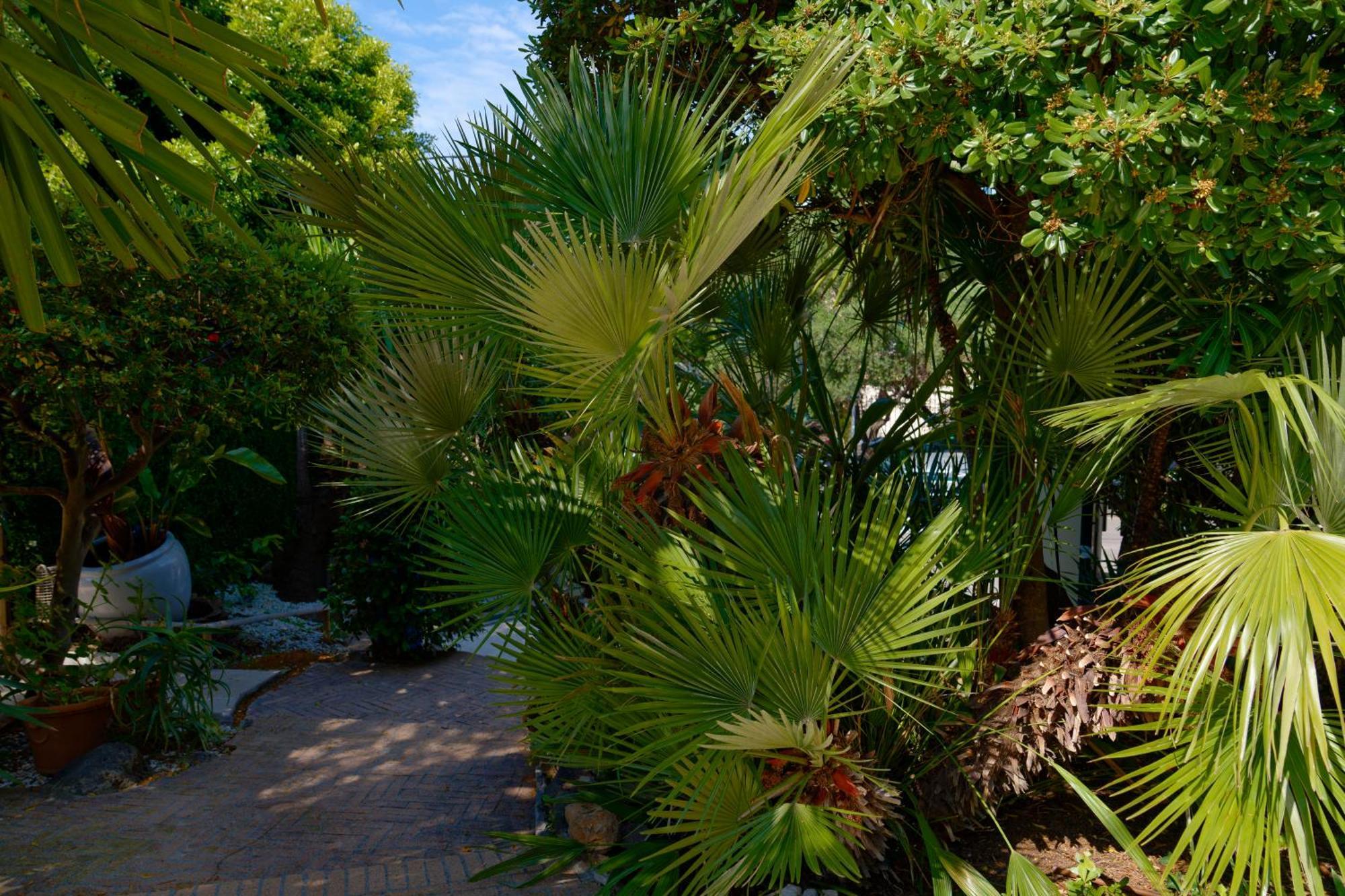 Hotel La Garoupe-Gardiole Antibes Exterior foto